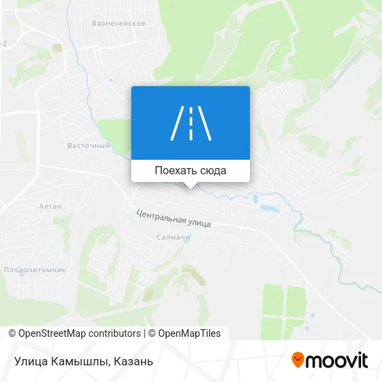 Карта Улица Камышлы