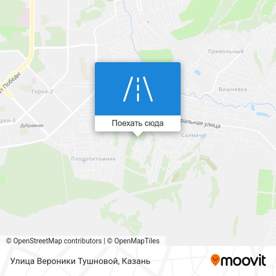 Карта Улица Вероники Тушновой