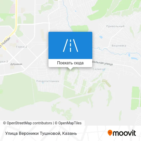 Карта Улица Вероники Тушновой