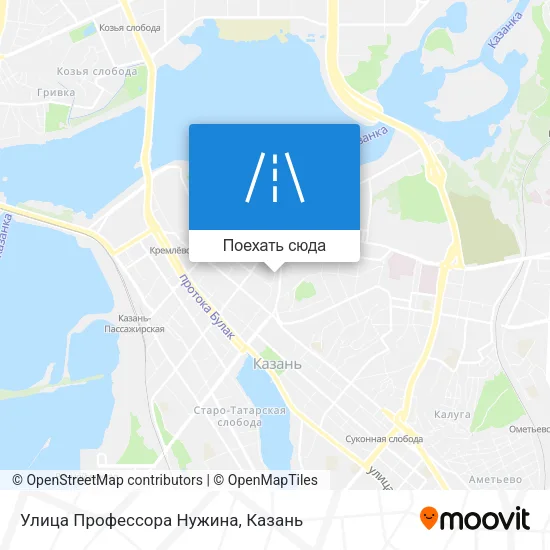 Карта Улица Профессора Нужина