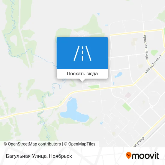 Карта Багульная Улица