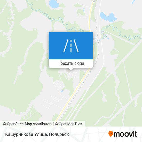 Карта Кашурникова Улица