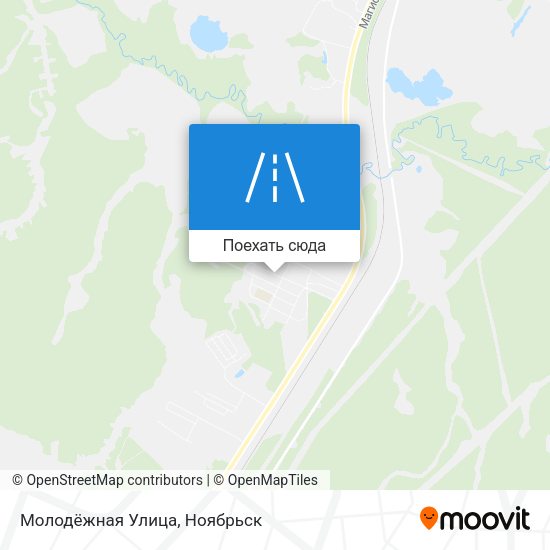 Карта Молодёжная Улица