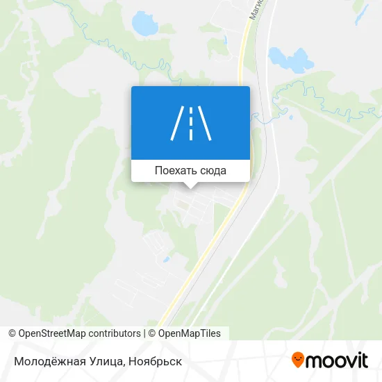 Карта Молодёжная Улица