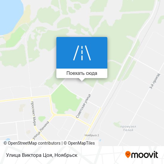 Карта Улица Виктора Цоя