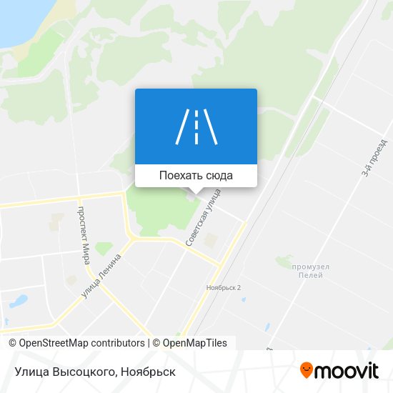 Карта Улица Высоцкого