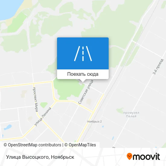 Карта Улица Высоцкого