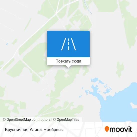 Карта Брусничная Улица