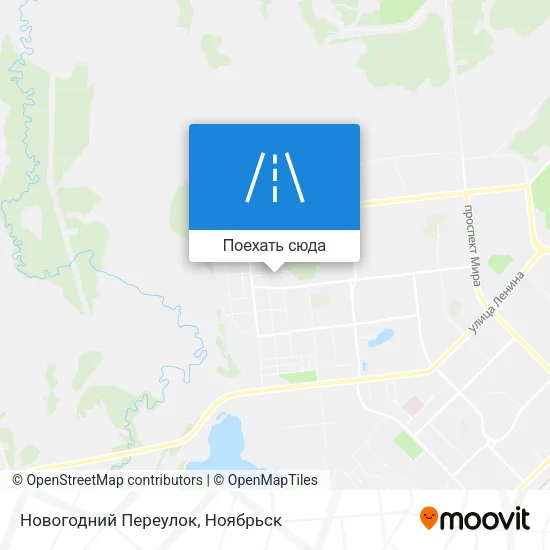 Карта Новогодний Переулок