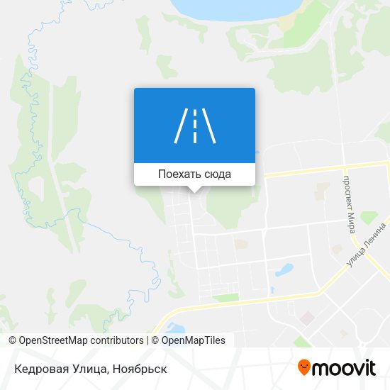 Карта Кедровая Улица