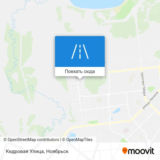 Карта Кедровая Улица