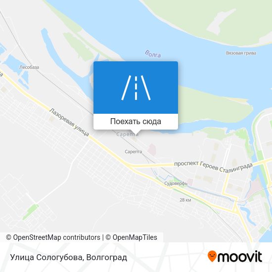 Карта Улица Сологубова