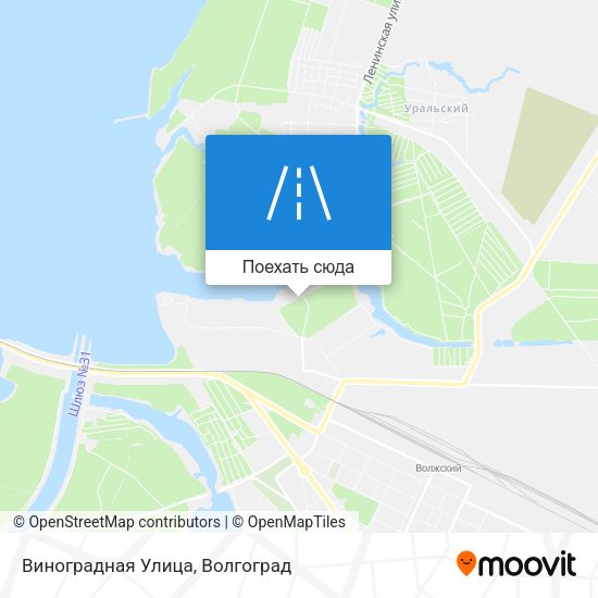 Карта Виноградная Улица