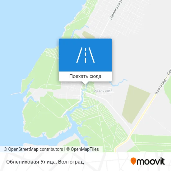 Карта Облепиховая Улица