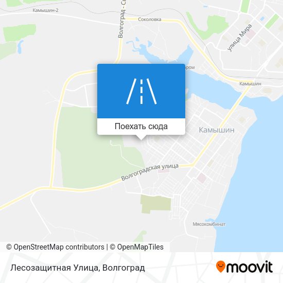 Карта Лесозащитная Улица