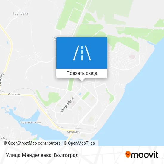 Карта Улица Менделеева