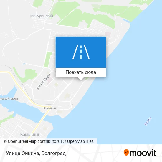 Карта Улица Онкина