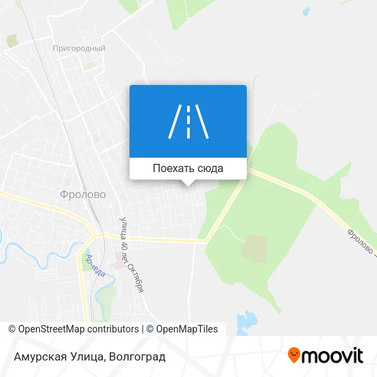 Карта Амурская Улица
