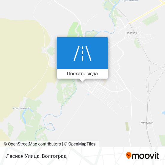 Карта Лесная Улица