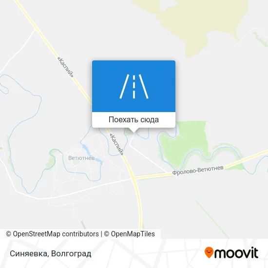 Карта Синяевка