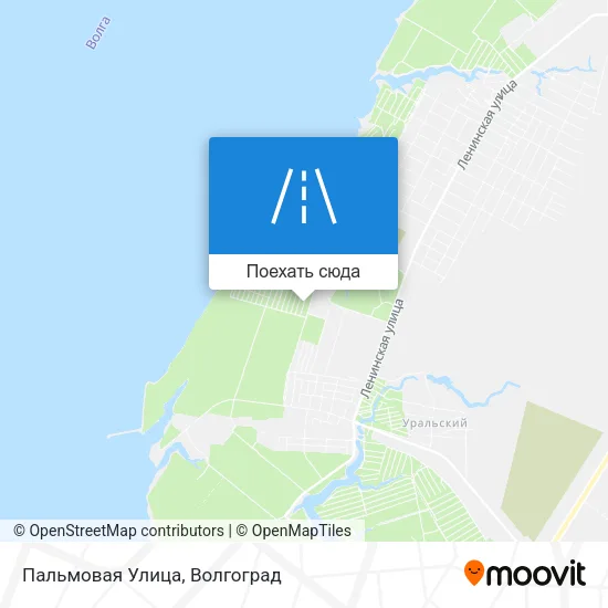 Карта Пальмовая Улица