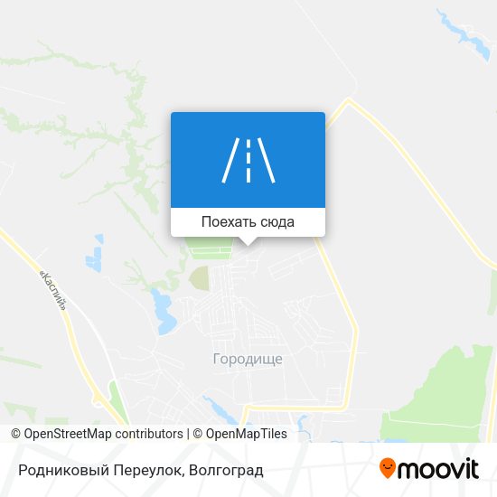 Карта Родниковый Переулок