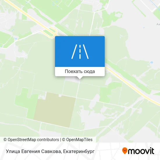 Карта Улица Евгения Савкова