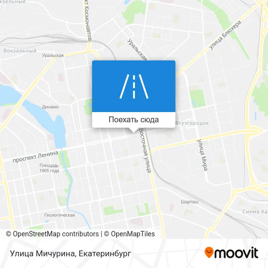 Карта Улица Мичурина