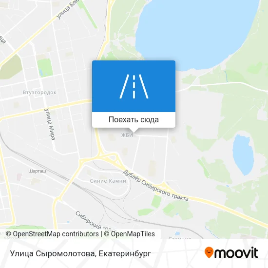 Карта Улица Сыромолотова