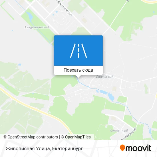 Карта Живописная Улица