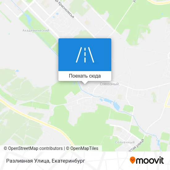 Карта Разливная Улица