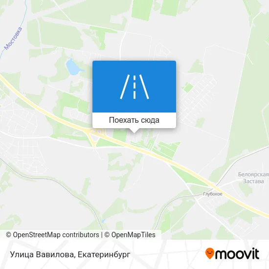 Карта Улица Вавилова