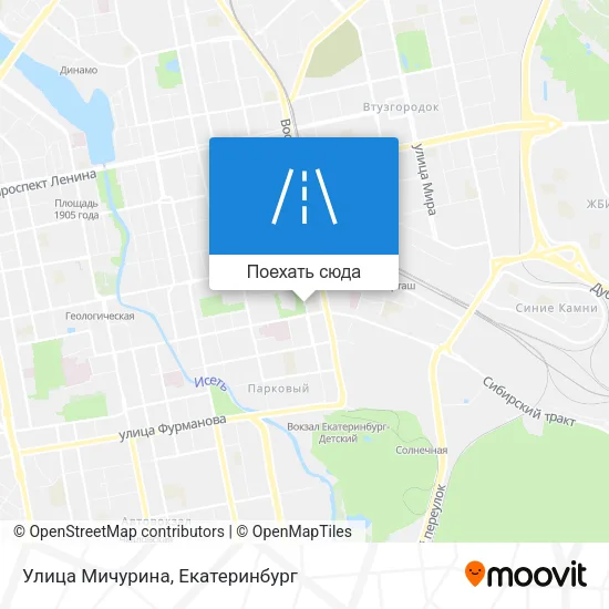 Карта Улица Мичурина