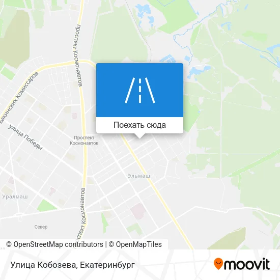 Карта Улица Кобозева