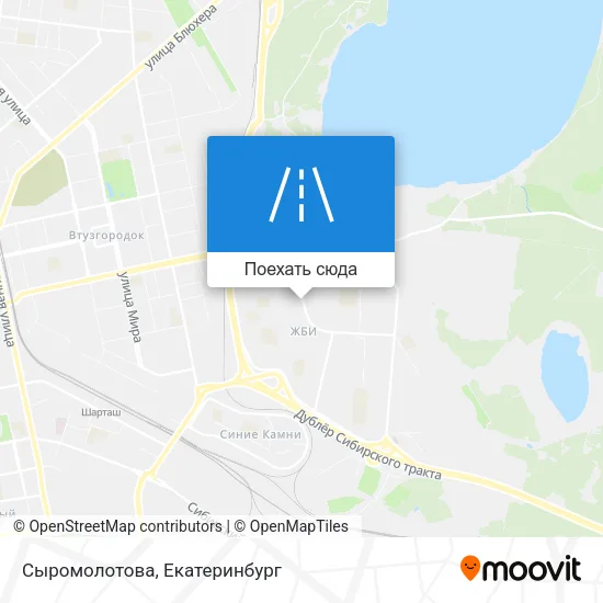 Карта Сыромолотова