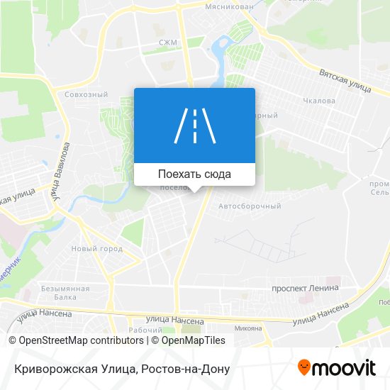 Карта Криворожская Улица