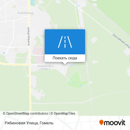 Карта Рябиновая Улица