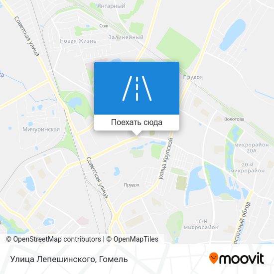Карта Улица Лепешинского