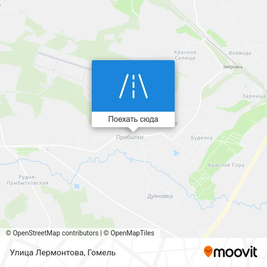 Карта Улица Лермонтова