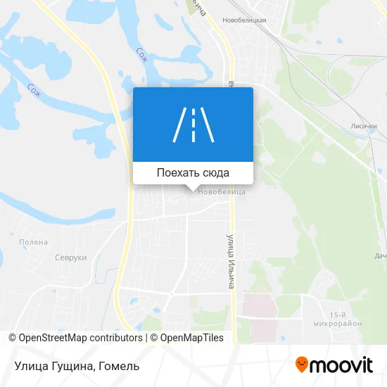 Карта Улица Гущина