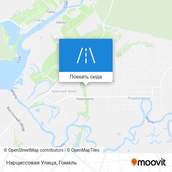 Карта Нарциссовая Улица