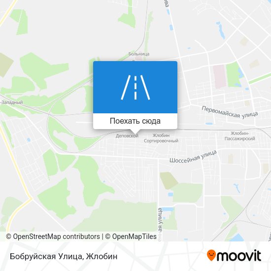 Карта Бобруйская Улица