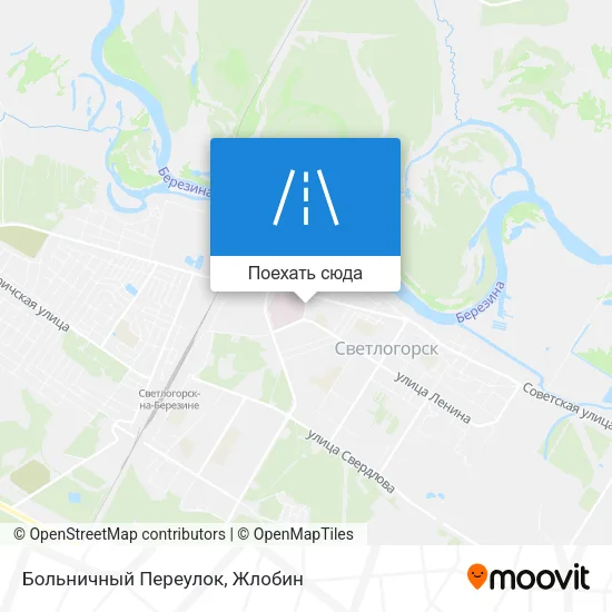 Карта Больничный Переулок