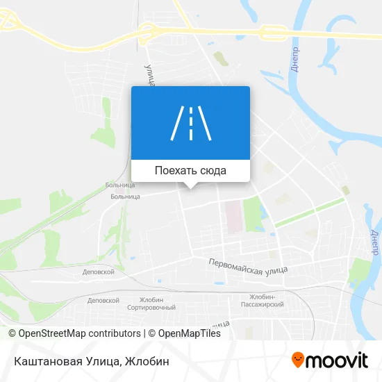 Карта Каштановая Улица