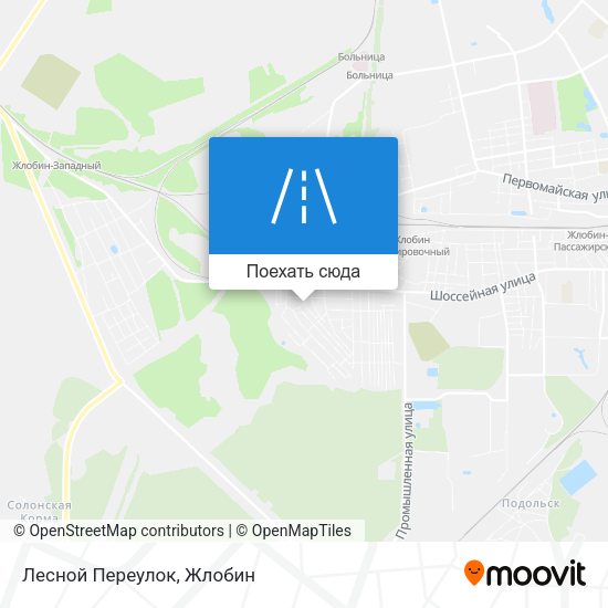 Карта Лесной Переулок