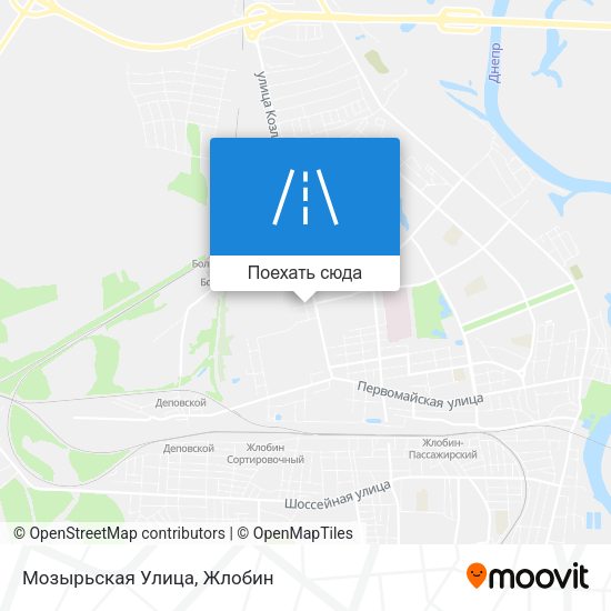 Карта Мозырьская Улица