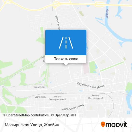 Карта Мозырьская Улица