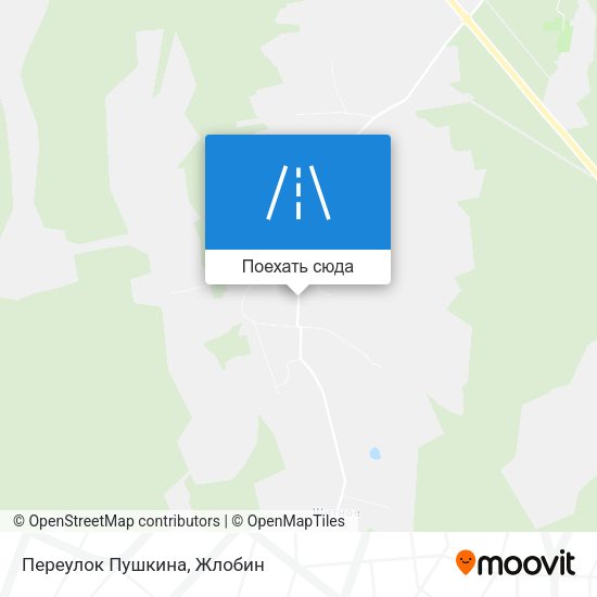 Карта Переулок Пушкина