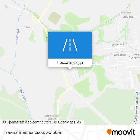 Карта Улица Вишневской