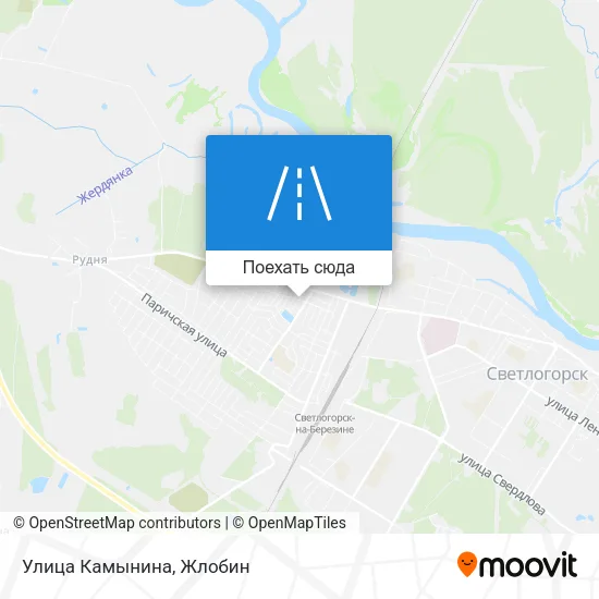 Карта Улица Камынина